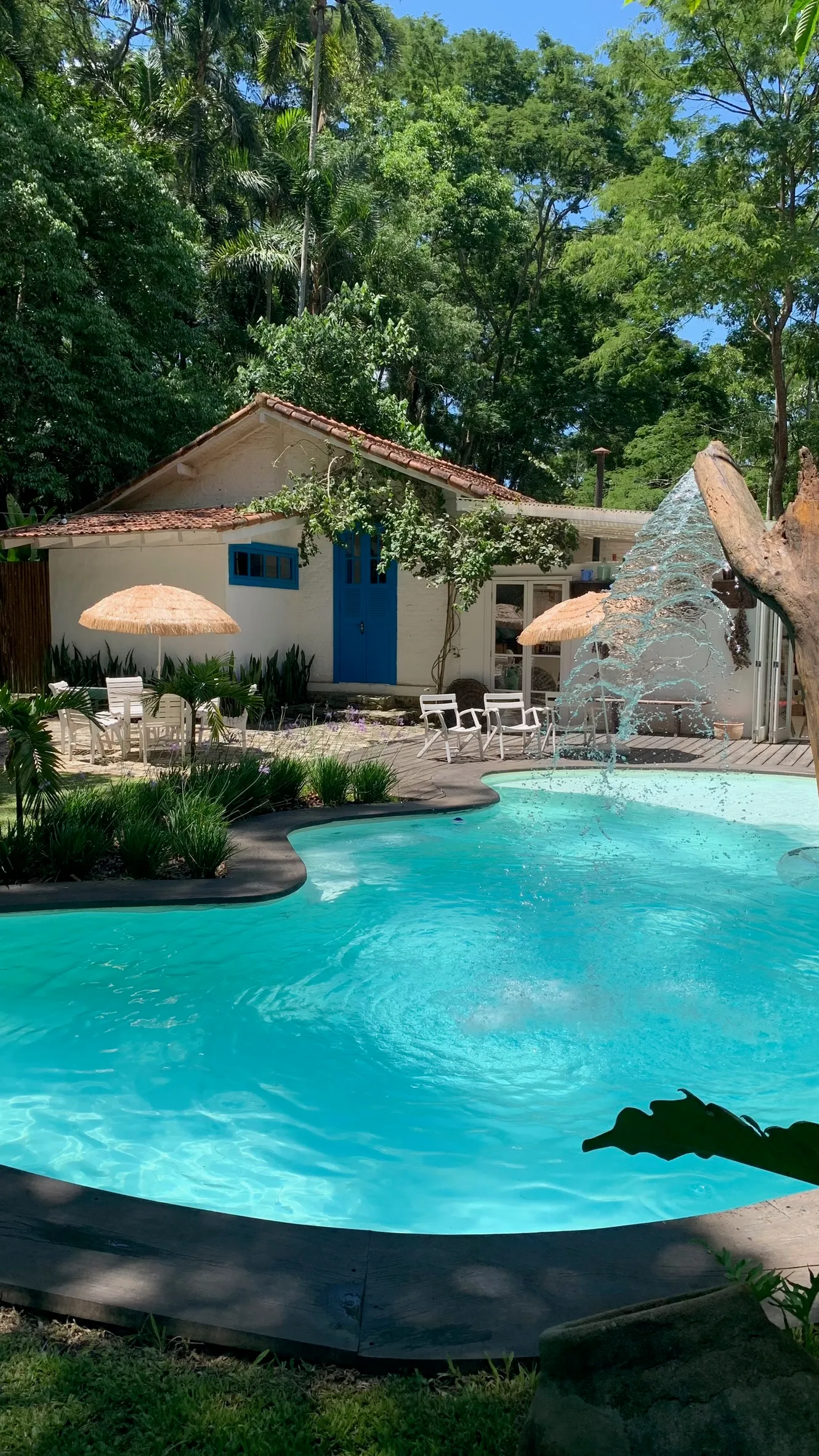 Piscina de borda orgânica em frente à casa, com guarda-sóis de palha e mata ao redor.